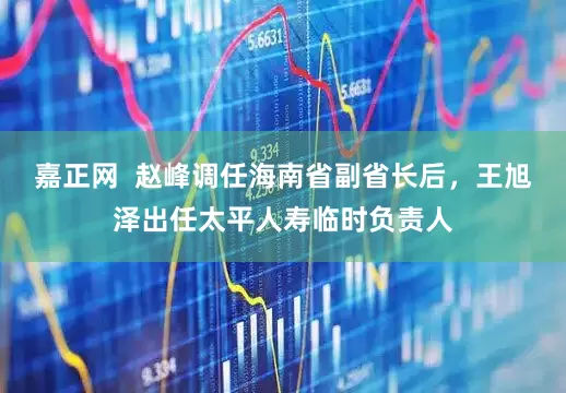 嘉正网  赵峰调任海南省副省长后，王旭泽出任太平人寿临时负责人