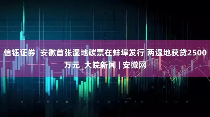 信钰证券  安徽首张湿地碳票在蚌埠发行 两湿地获贷2500万元_大皖新闻 | 安徽网