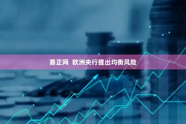 嘉正网  欧洲央行提出均衡风险